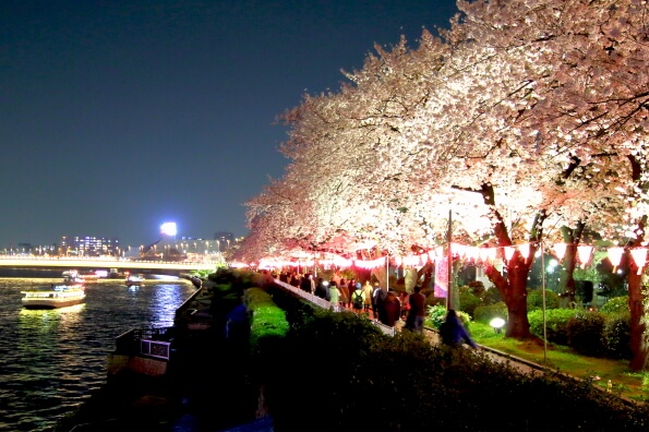 隅田公園桜まつり