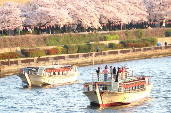 お花見船