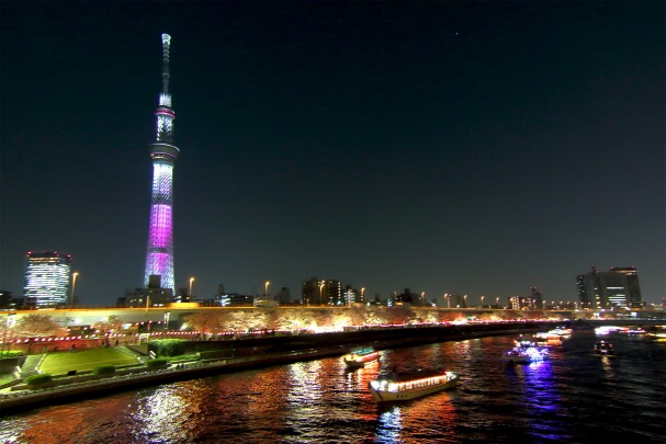 夜の隅田川と屋形船