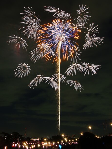 花火職人が織りなす芸術的な花火たち