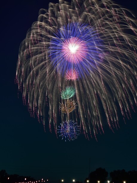 大きな一輪の花の様な花火