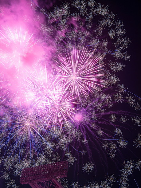 夜空に輝く華やかな花火