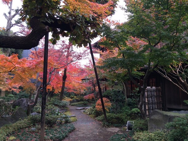 紅葉が美しい庭園