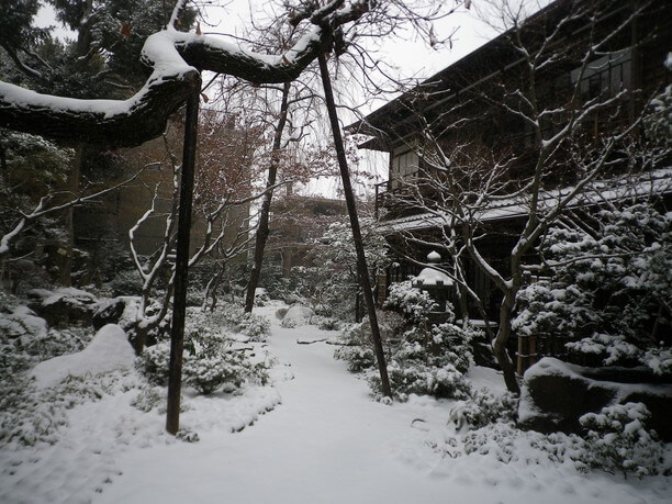 厳冬の雪景色