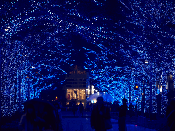 青の洞窟 SHIBUYAイルミネーション