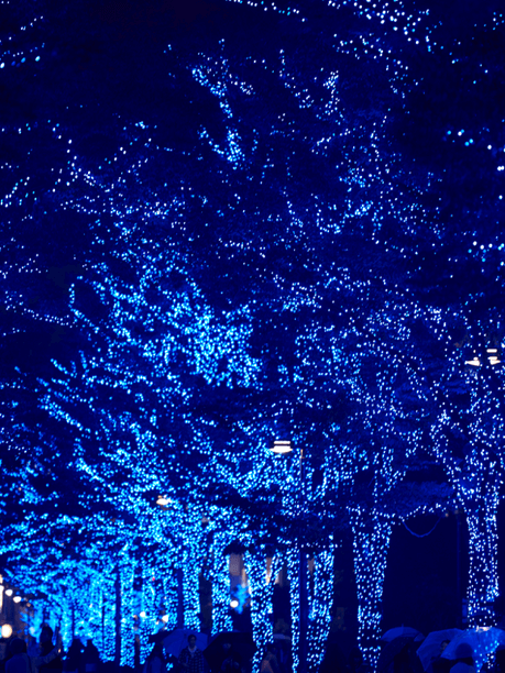 青色LEDの優しい光
