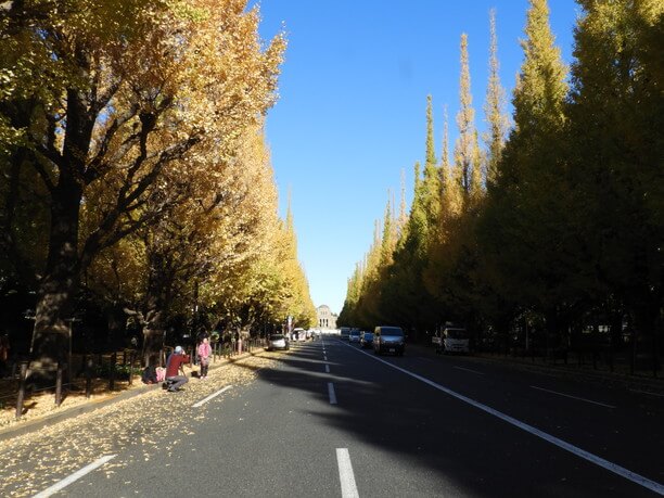 道路沿い