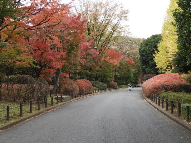 北の丸公園