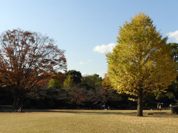 芝生広場