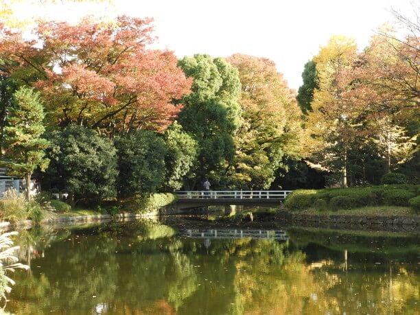 紅葉が映る池